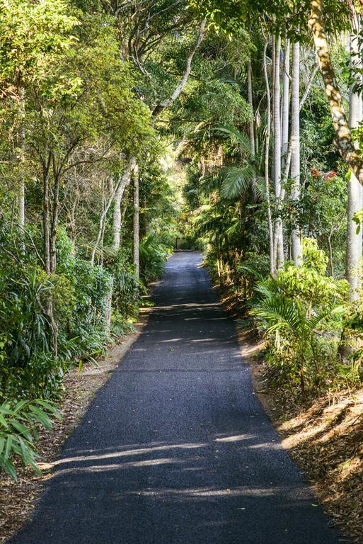 Bed and Breakfast Pethers Rainforest Retreat Mount Tamborine Exterior foto