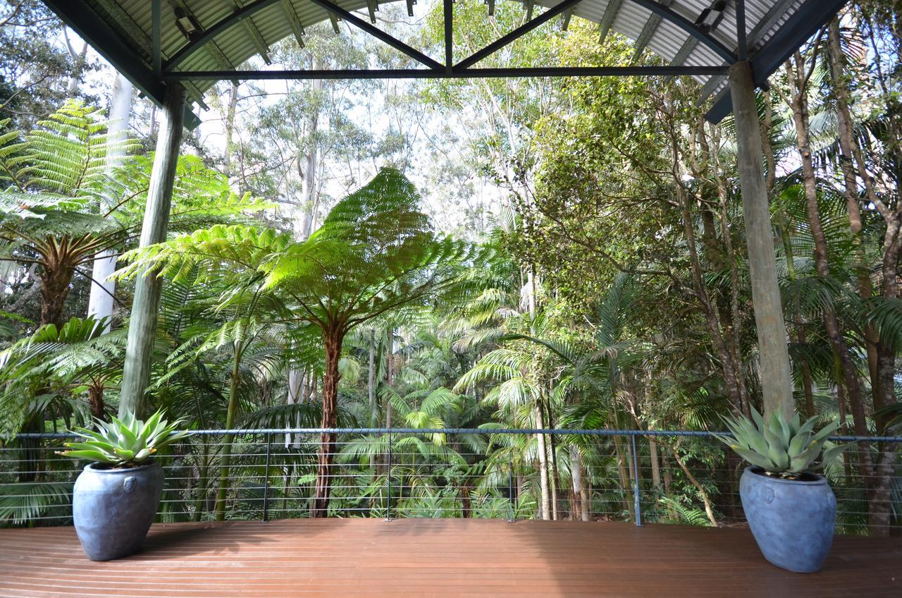 Bed and Breakfast Pethers Rainforest Retreat Mount Tamborine Exterior foto