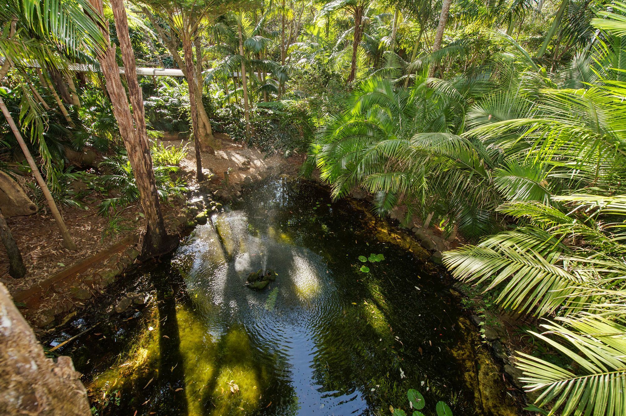 Bed and Breakfast Pethers Rainforest Retreat Mount Tamborine Exterior foto