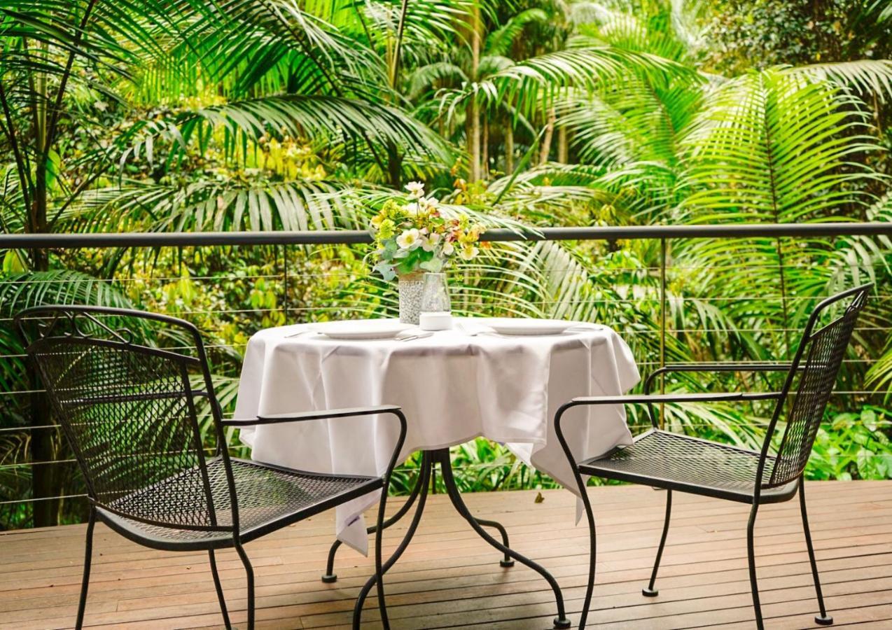 Bed and Breakfast Pethers Rainforest Retreat Mount Tamborine Exterior foto